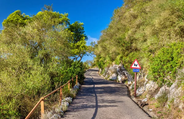 Camino en el Peñón de Gibraltar — Foto de Stock