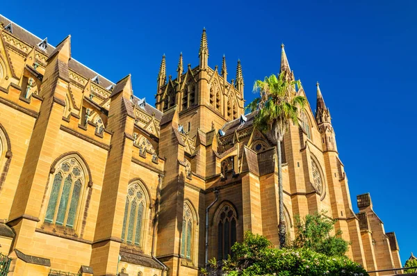 St mary kathedrale in sydney - australien — Stockfoto