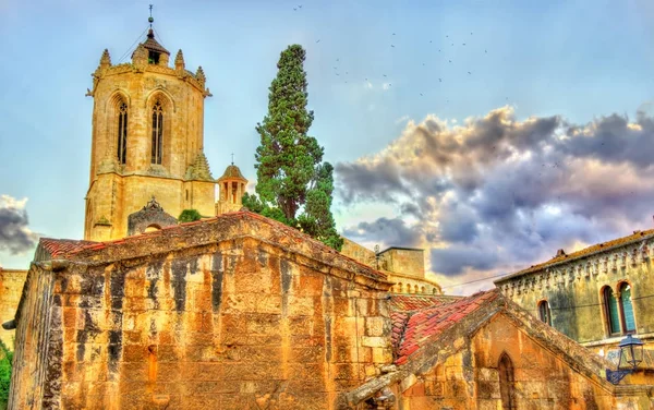 Kathedrale von Estragona am Abend. Katalonien, Spanien — Stockfoto