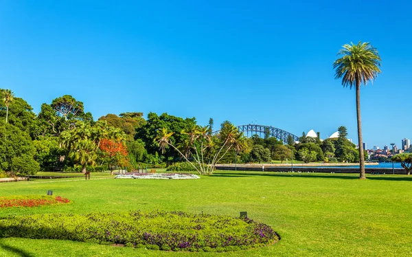 Jardim Botânico Real de Sydney - Austrália, Nova Gales do Sul — Fotografia de Stock
