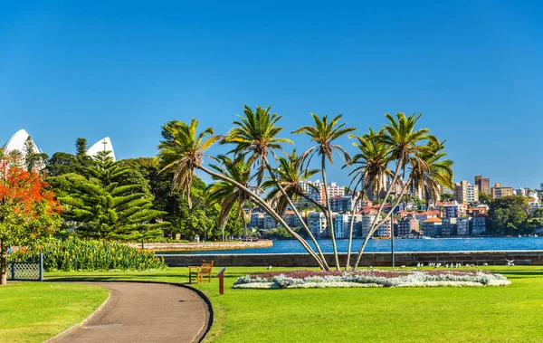 Královská botanická zahrada Sydney - Austrálie, Nový Jižní Wales — Stock fotografie