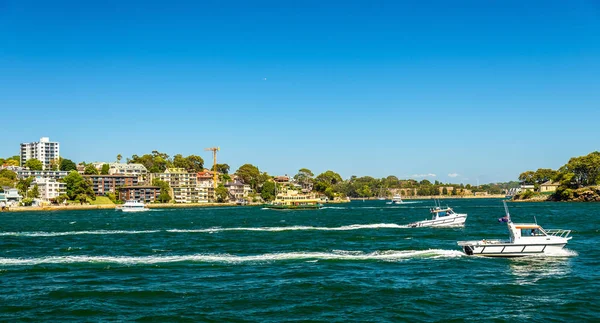 Jachty w Sydney Harbour, jak widać z Barangaroo rezerwy Park — Zdjęcie stockowe