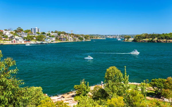 Jachty w Sydney Harbour, jak widać z Barangaroo rezerwy Park — Zdjęcie stockowe