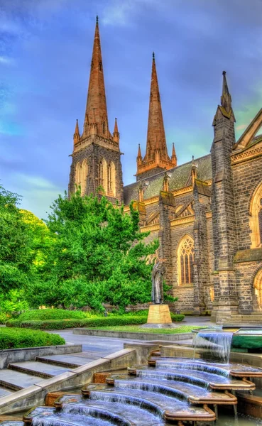 멜버른, 호주에서 세인트 패트릭 스 대성당 — 스톡 사진