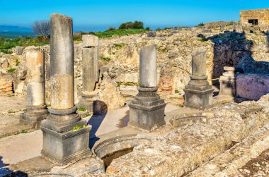 Volubilis, Berber ve Fas'ta Roma şehir kalıntıları