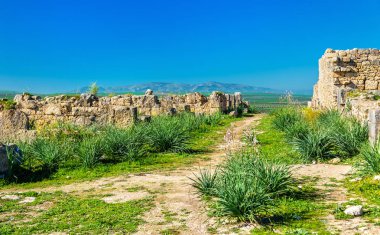 Volubilis, Berber ve Fas'ta Roma şehir kalıntıları