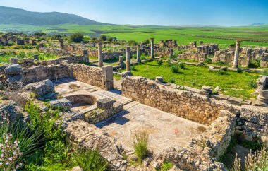 Volubilis, Berber ve Fas'ta Roma şehir kalıntıları