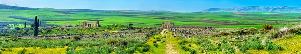 Panoráma Volubilis antik város, az Unesco Világörökség Marokkóban — Stock Fotó