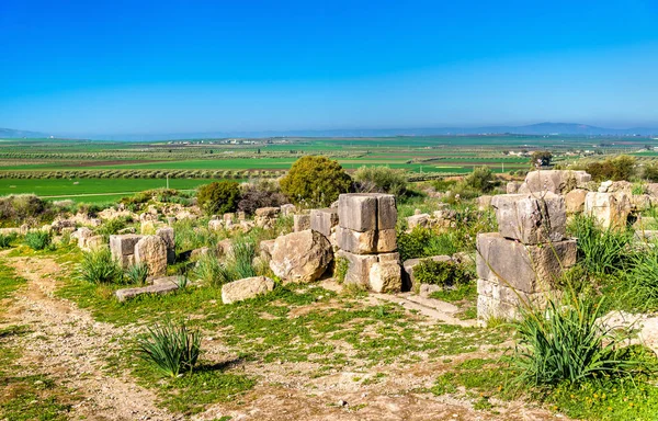 Ruïnes van Volubilis, een Berber en de Romeinse stad in Marokko — Stockfoto