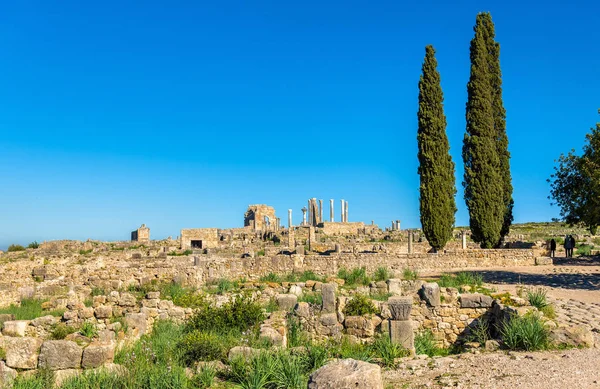 Volubilis, Berber ve Fas'ta Roma şehir kalıntıları — Stok fotoğraf