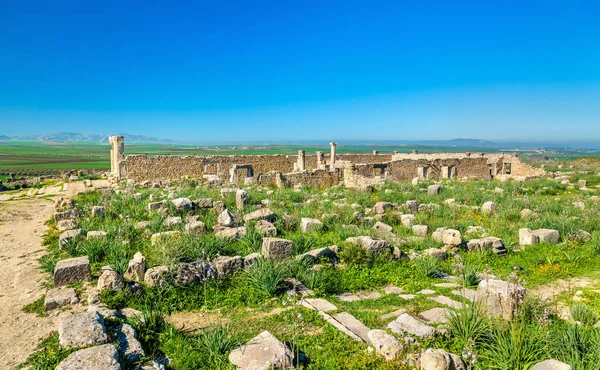 Ruinas de Volubilis, una ciudad bereber y romana en Marruecos — Foto de Stock