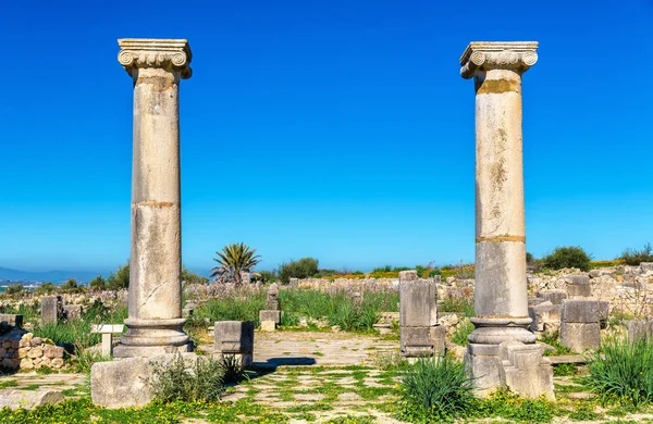 Ruinerna av Volubilis, Berber och en romersk stad i Marocko — Stockfoto