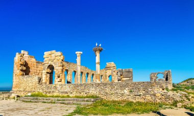 Volubilis, Fas, bir Roma Bazilikası kalıntıları