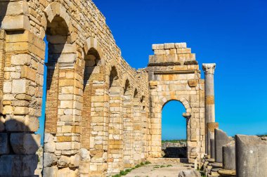 Volubilis, Fas, bir Roma Bazilikası kalıntıları