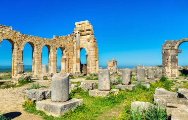 Volubilis, Fas, bir Roma Bazilikası kalıntıları