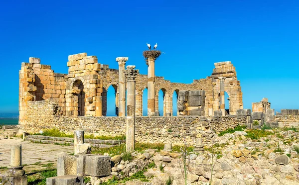 Ruinen einer römischen Basilika in Volubilis, Marokko — Stockfoto