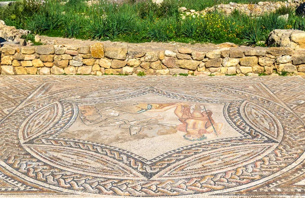 Antigo mosaico em Volubilis, Marrocos — Fotografia de Stock