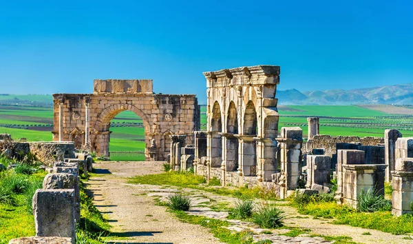 Decumanus Maximus, la calle principal de Volubilis, una antigua ciudad romana en Marruecos — Foto de Stock