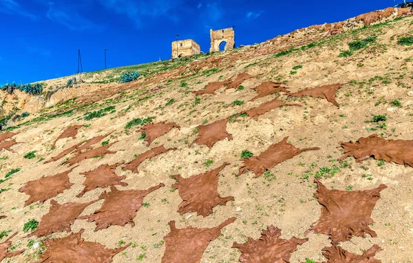 De huiden van de dieren, drogen onder Marinid graven in Fes, Morocco — Stockfoto