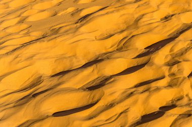 Doku kum Sahara Çölü'nde. Merzouga, Fas