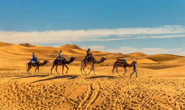 Toeristen rijden kamelen op Erg Chebbi in de buurt van Merzouga in Marokko — Stockfoto