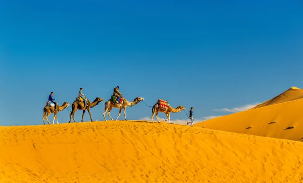 Turisté na koni velbloudi v Erg Chebbi poblíž Merzouga v Maroku — Stock fotografie