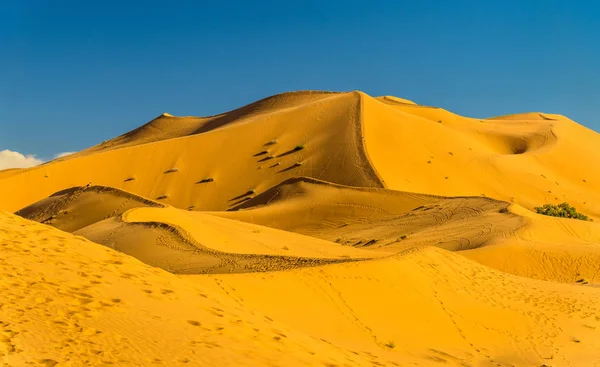Дюны Эрг-Чебби близ Мерзуги в Марокко — стоковое фото
