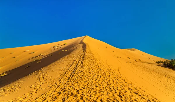 Восхождение на дюну возле Мерзуги в Марокко — стоковое фото
