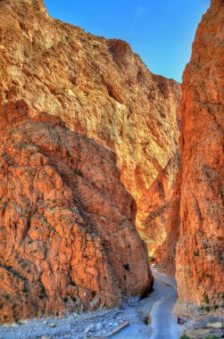Todgha Gorge, Atlas Dağları'nda bir kanyon. Fas