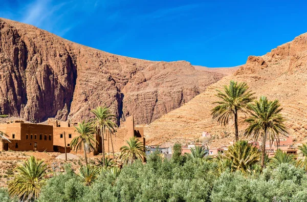 Oasis del río Todra en Tinghir, Marruecos — Foto de Stock