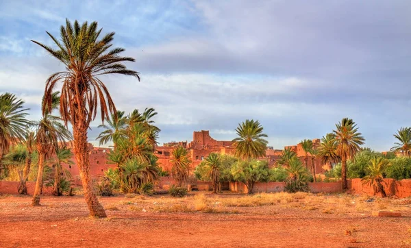 팜 그로브 Ouarzazate, 모로코에서 — 스톡 사진