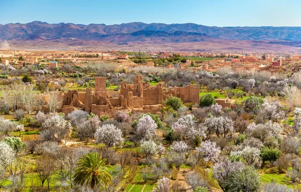 Ruinen einer Kasbah im Tal der Rosen, Marokko — Stockfoto