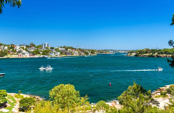 Jachty w Sydney Harbour, jak widać z Barangaroo rezerwy Park — Zdjęcie stockowe