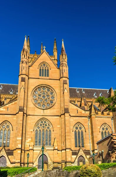 Cattedrale di Santa Maria a Sydney - Australia — Foto Stock