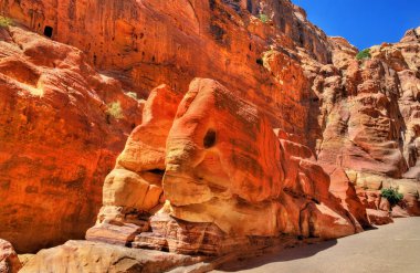 Petra Rock'ta şeklinde fil