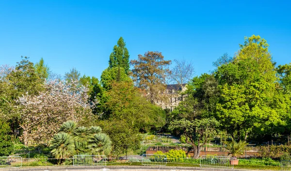 Offentlig trädgård i Bordeaux i Frankrike — Stockfoto