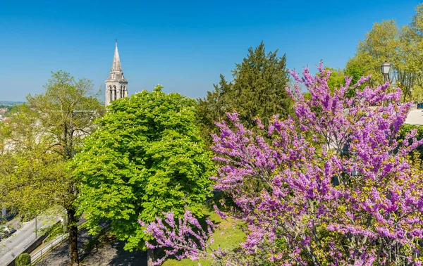 Bahar ağacı çiçeği Angouleme, Fransa — Stok fotoğraf