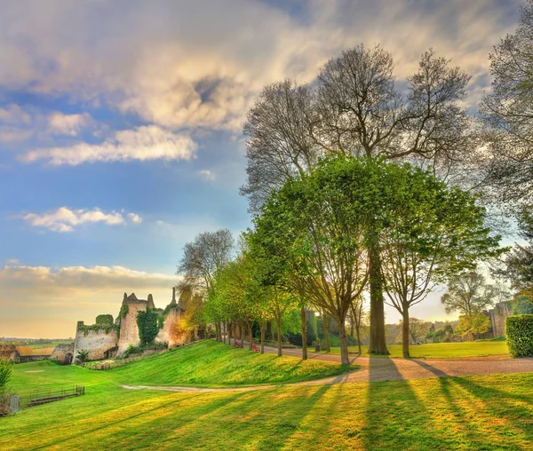 Árvores no parque no Chateau de Bressuire. França — Fotografia de Stock