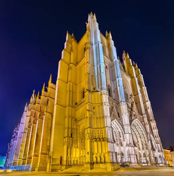 Catedral de São Pedro e São Paulo de Nantes - França — Fotografia de Stock