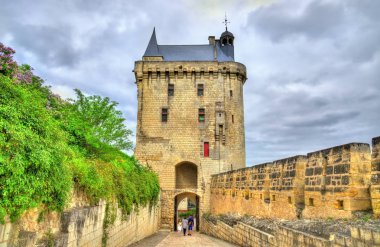 Chateau de Chinon Fransa Loire Valley-
