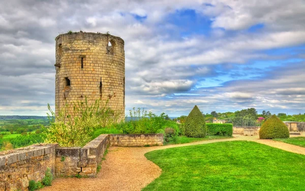 Chateau de Chinon in the Loire Valley - France — Stock Photo, Image