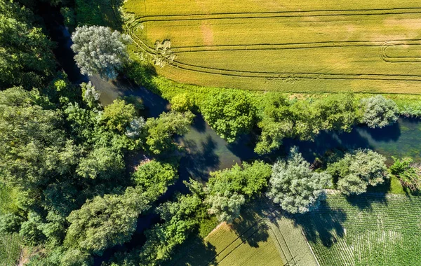 Le Rhin Tortu, Strasbourg - Grand Est, Fransa'nın güneyindeki küçük bir nehir
