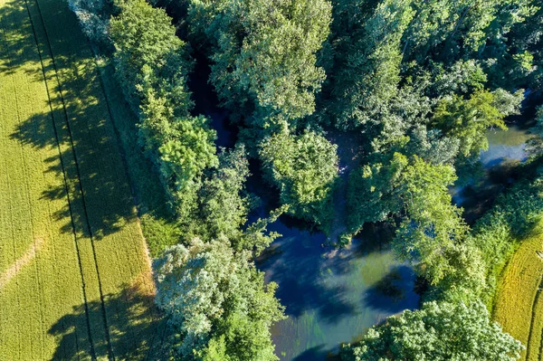 Le Rhin Tortu, un piccolo fiume nel sud di Strasburgo - Grand Est, Francia — Foto Stock