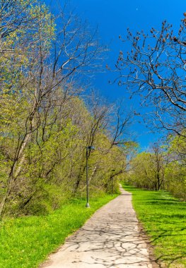 Görünümü, Niagara Falls State Park ABD
