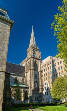 St Joseph Katedrali Buffalo - Ny, ABD