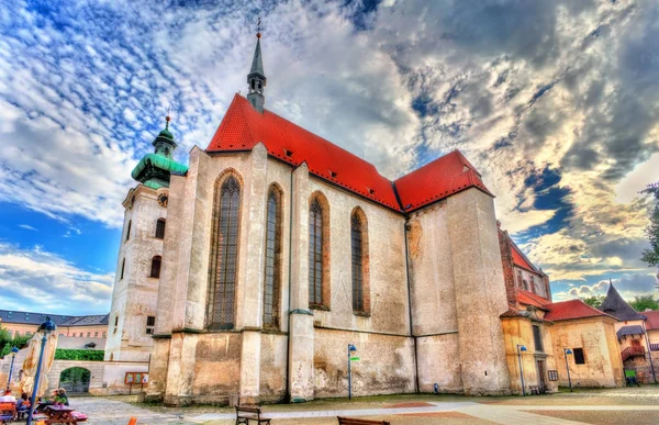 Kerk van de presentatie van de Heilige Maagd Maria in Ceske Budejovice, Tsjechië — Stockfoto