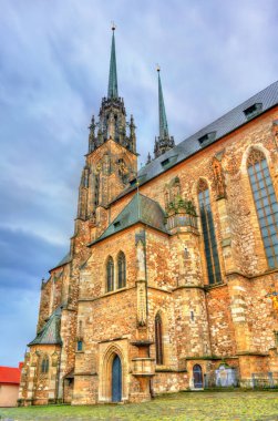 Katedral Aziz Peter ve Paul Petrov tepede Brno, Çek Cumhuriyeti