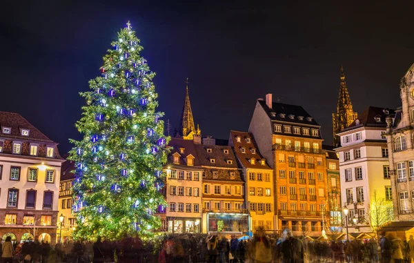 ストラスブール、フランスの有名な市場のクリスマス ツリー — ストック写真