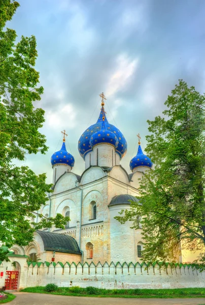 Die Geburtskathedrale der Theotokos im suzdal kremlin, Russland — Stockfoto