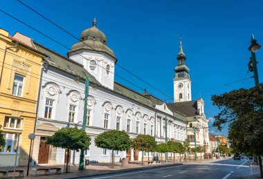 Cathedral St John Baptist Presov, Slovakya